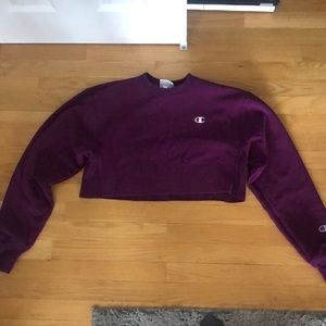 Women’s, extra small, cropped  champion sweatshirt